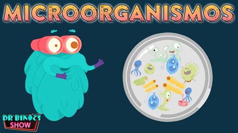 Curiosidades Sobre Bacterias Para Ni Os Con Happy Learning