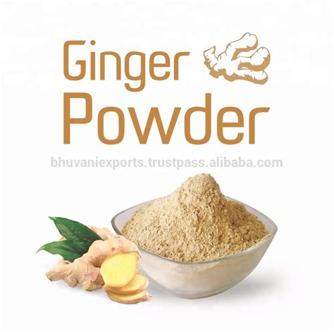 Ginger Extract Powderspicesherbsindia Price Supplier 21food