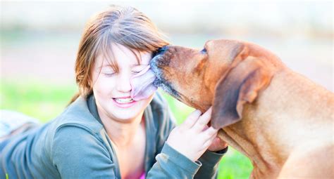 How do i know if my dog had a seizure? This Is Why You Shouldn't Let Dogs Lick Your Face | Women ...