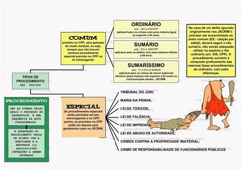 Processo Comum E Especial Direito Processual Penal I