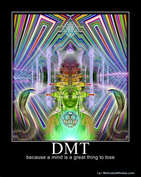 Some people claim that it can be synthesized from some plants. Everything In Between Is Free: I'm down with DMT, ya you know me...