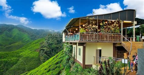 The cameron highlands is a district in pahang, malaysia, occupying an area of 712.18 square kilometres (274.97 sq mi). Lepas Gian di Puncak Cameron Highlands | Cameron highlands ...
