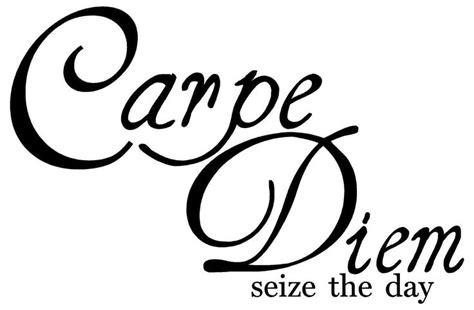 999 Carpe Diem Seize The Day Wall Sticky Decal Vinyl Quote