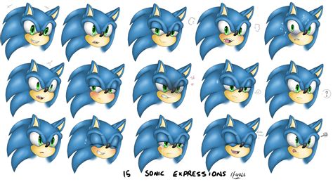 15 Sonic Expressions Study By Blueneedle Inu On Deviantart