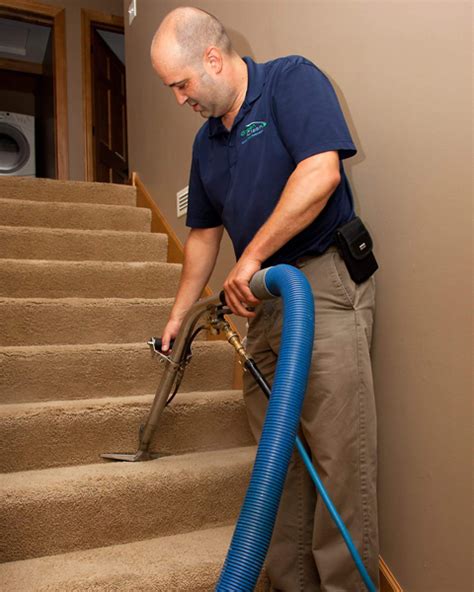 Carpet Cleaning In Maplewood Mn Green Clean