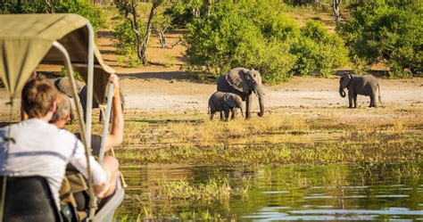 visiting botswana s chobe national park here s what to know