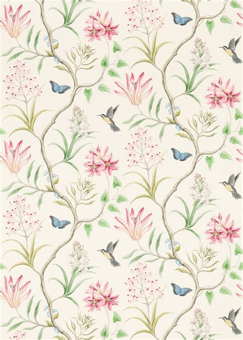 Sanderson One Sixty Clementine Wallpaper The Home Of Interiors