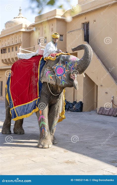 Decorated Elephants Ride Tourists On Amber Fort In Jaipur Rajasthan