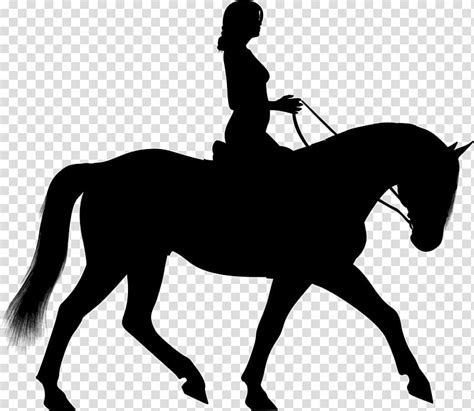 Equestrian Clip Art 18 Free Cliparts Download Images On Clipground 2024