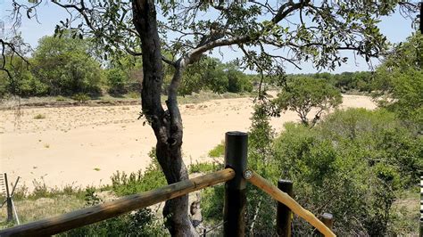 Tamboti Tented Camp Makes The Ideal Base When Visiting Central Kruger