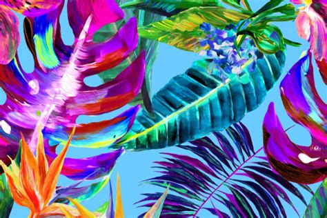 Tropical Wallpapers Top Free Tropical Backgrounds Wallpaperaccess