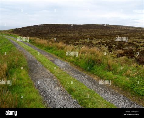 Hobbister Reserve Hi Res Stock Photography And Images Alamy