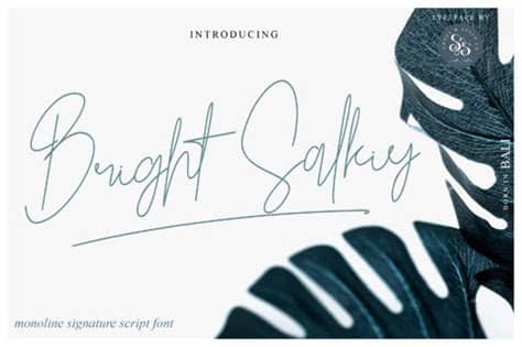 Script bd script bds script bd script bd script bd diamond script download molly script the something script beauty salon script lumen script saturday script 100 free script font good life script southern script everglow script ellie. Bright Salkiy Font in 2020 | Free handwritten fonts, New ...