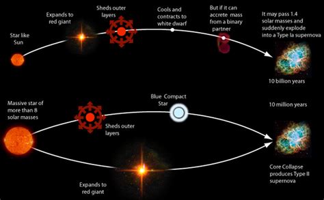 Stars near the beginning or end of their lives are not part of this classification. Supernovae