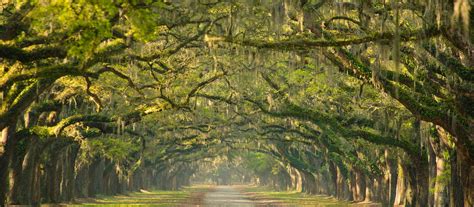 Georgia - Explore Peach State | Visit The USA