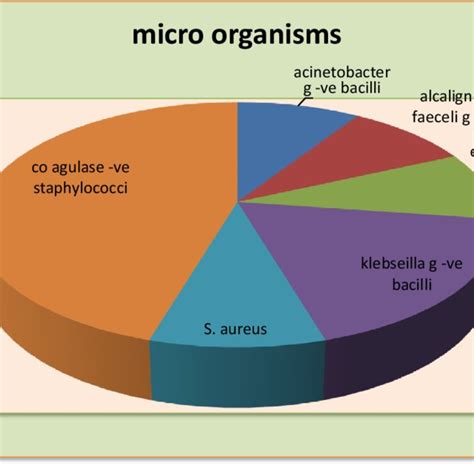 Types Of Isolated Micro Organisms Download Scientific Diagram