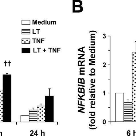 Lt Enhances Transcription Of Nfkbia And Causes Minor Perturbations In