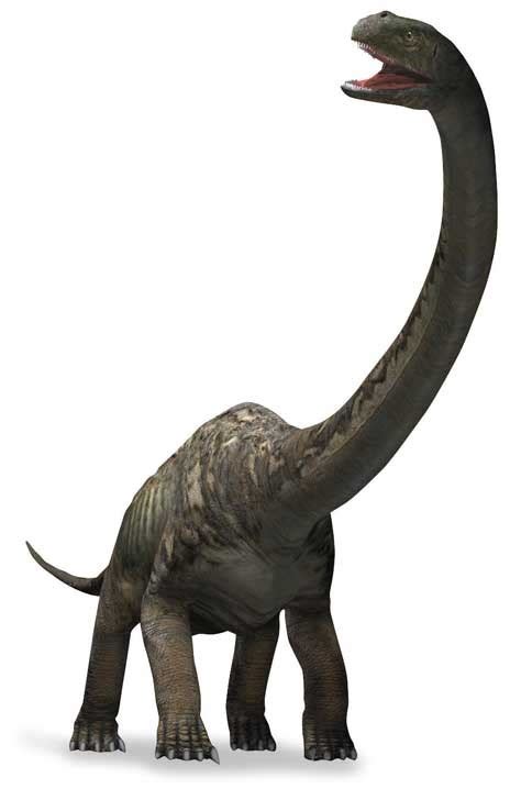 Mamenchisaurus Jurassic Park