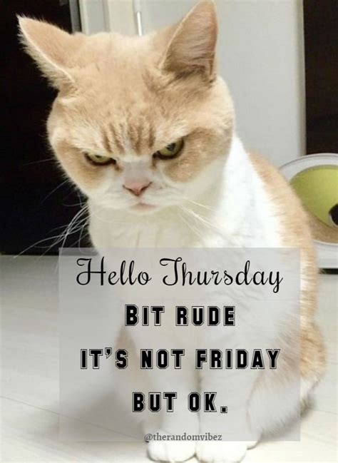 Happy Thursday Memes Happy Thursday Quotes Morning Quotes Funny Thursday Humor