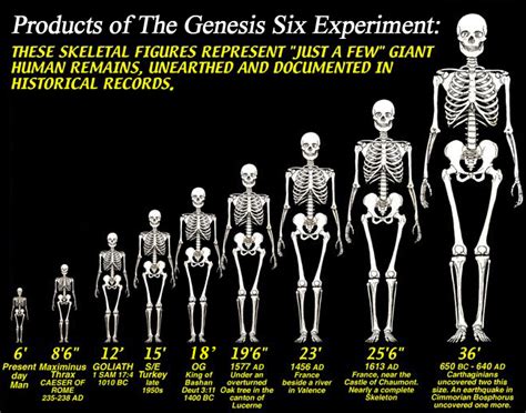 The Genesis Six Experiment