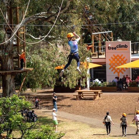 Treeclimb Adelaide Aerial Adventure Park Adelaide Play And Go