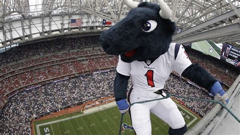 It's Toro's birthday! Help celebrate the Texans' mascot birthday this ...
