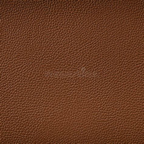 Brown Leather Texture Background Stock Photo Image Of Elegant