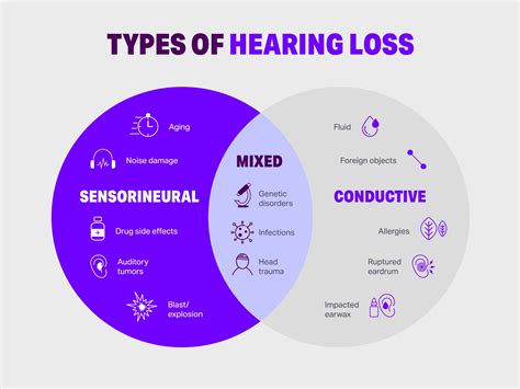 Hearing Loss Types The Complete Guide Hearusa