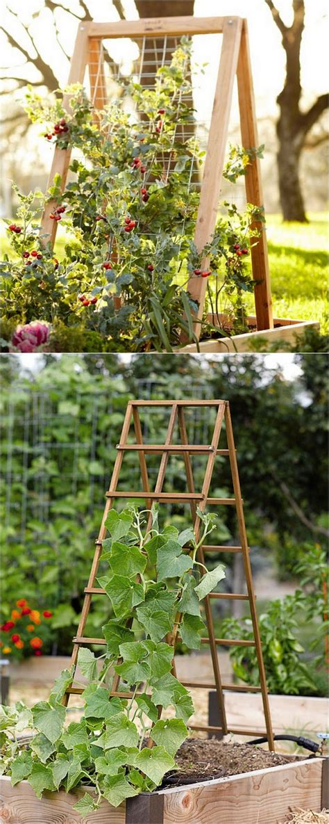 Creative And Easy Diy Trellis Ideas For Your Garden