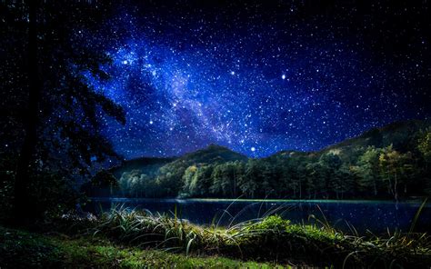 Download Wallpapers Night Forest Lake Starry Sky Grass Sky Stars