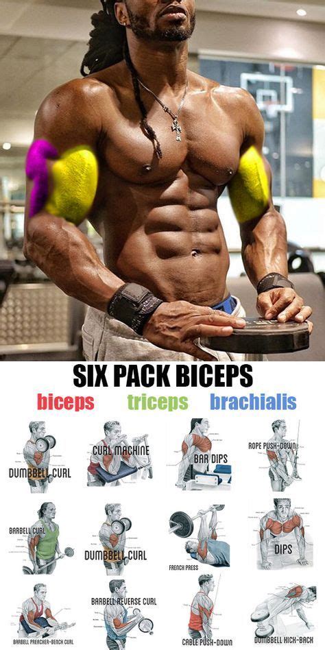The Best Workouts Programs Body Building Workout Routine
