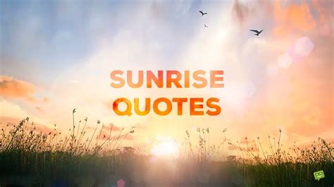 61 Sunrise Quotes That Will Shed Light On Your Day