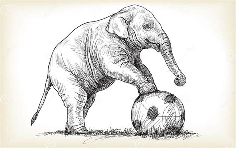 Elephant Playing Football Sketch Free Hand Draw Illustration Stock