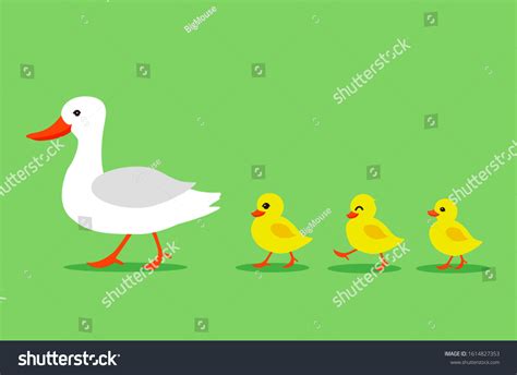 Cartoon Color Duck Different Little Ducks Stock Vector Royalty Free 1614827353 Shutterstock