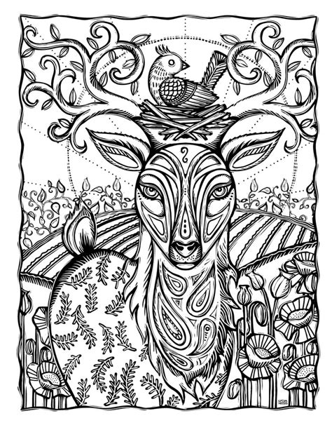 Sacred Animals Coloring Book — Lydia Hess Illustration