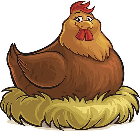 Chicken Laying Egg Illustrations Royalty Free Vector Graphics And Clip