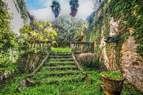 Premium Photo Green Abandoned Garden In Tuscany