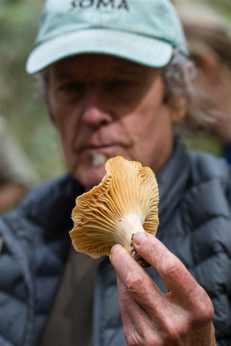 Learn About Mushroom Foraging Wild Mushroom Adventures Wild Food