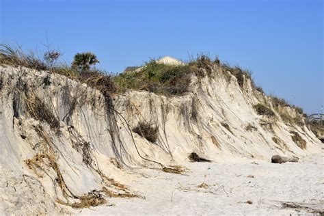 Beach Erosion Florida Coastline Free Stock Photo Public Domain Pictures