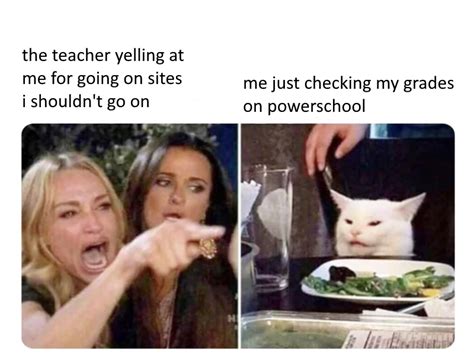 29 Cat Memes For Teachers Factory Memes