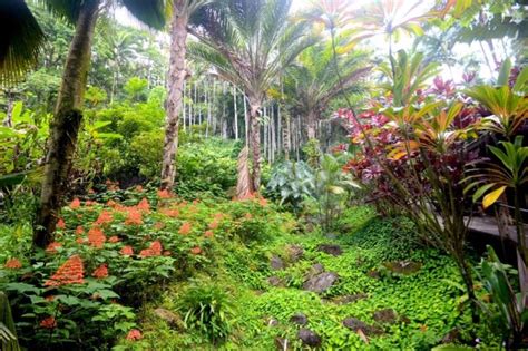 Best Botanical Gardens On The Big Island Hawaii List With Map