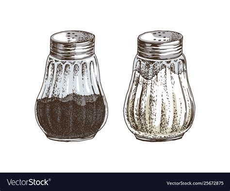 Hand Drawn Salt And Pepper Shakers Royalty Free Vector Image