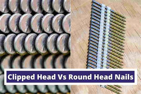 Clipped Head Vs Round Head Nails Explained For Beginners Toolvisit
