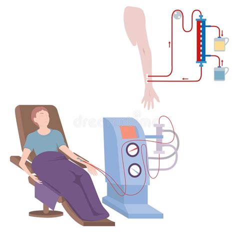 Diagram Kidney Dialysis Machine Stock Illustrations 12 Diagram Kidney