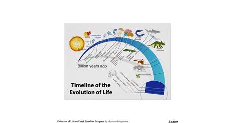 Evolutionoflifeonearthtimelinediagramposter