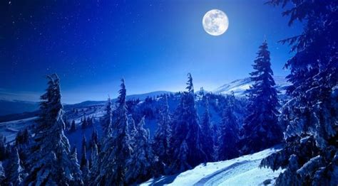 1200x400 Resolution Full Moon Over Winter Forest 1200x400 Resolution