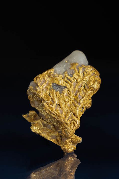Exceptionally Rare Dendritic Gold Wrapped On Quartz Yukon Ll16