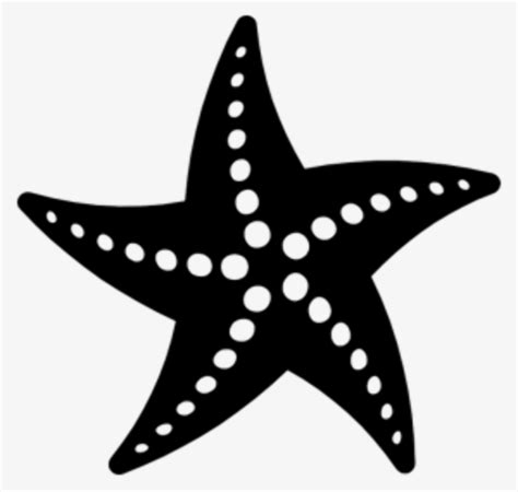 Download High Quality Starfish Clipart Silhouette Transparent Png