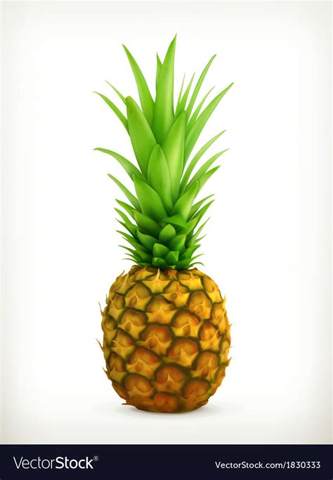 Pineapple Royalty Free Vector Image - VectorStock