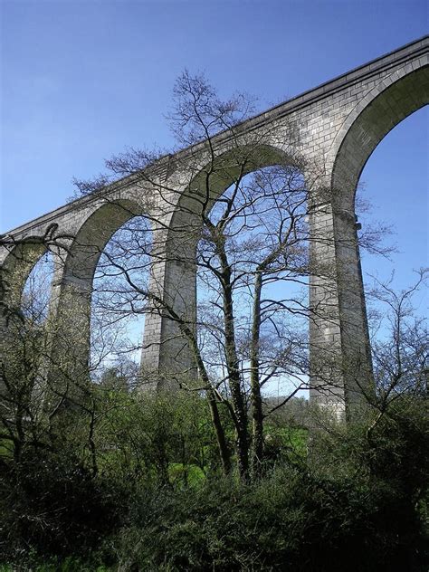 Calstock Viaduct Arches Through Trees Devon And Cornwall Border